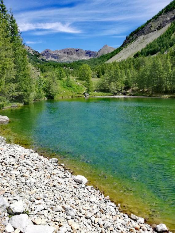 Chambre Aux Gorges De Daluis Guillaumes Dış mekan fotoğraf